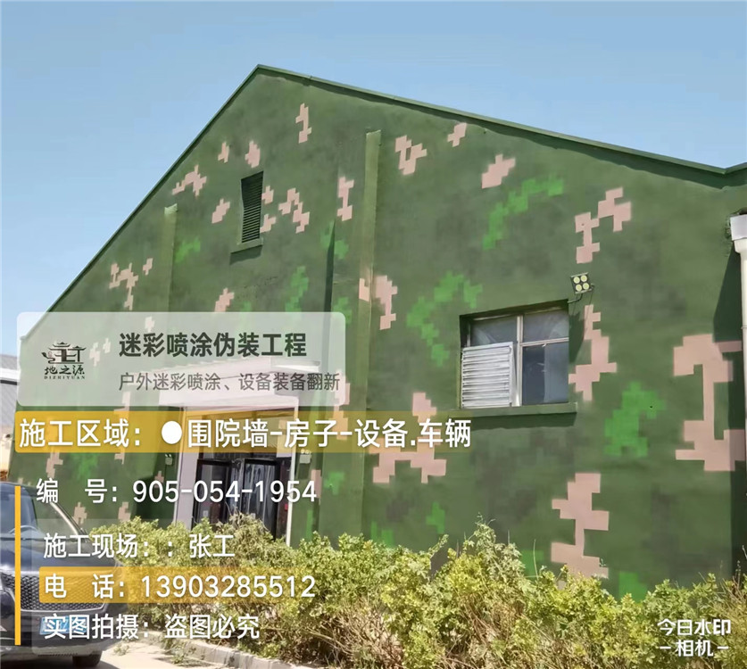 淮南外墙数码迷彩漆施工报价清单（100㎡标准墙面测算）